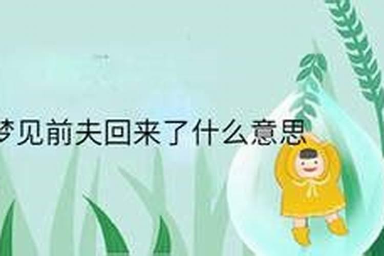 梦到离婚多年的前夫回来了