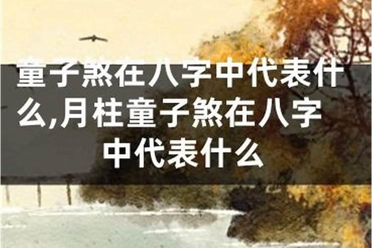 八字里面的什么叫童子命