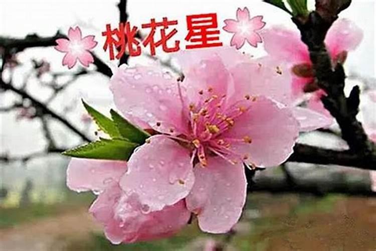 八字怎样查桃花？八字大运怎么看婚姻