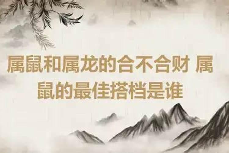 属鼠与属龙的八字合吗