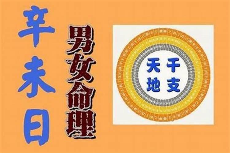 辛巳日柱男女八字 癸未日柱遇什么大运最好