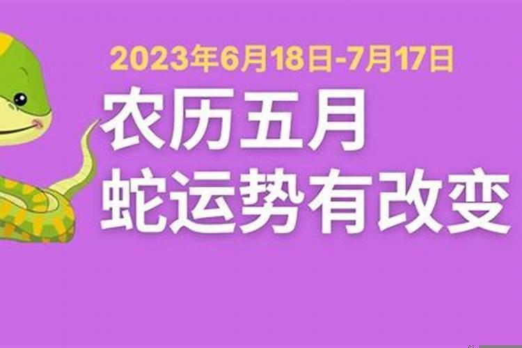 农历5月份生肖运势如何