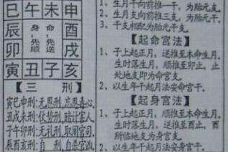 胎元八字是什么意思