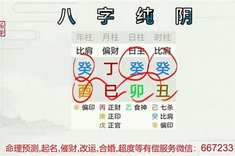 八字比较阴有什么特点