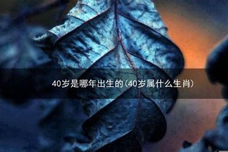 40岁是哪年生的属什么生肖呢