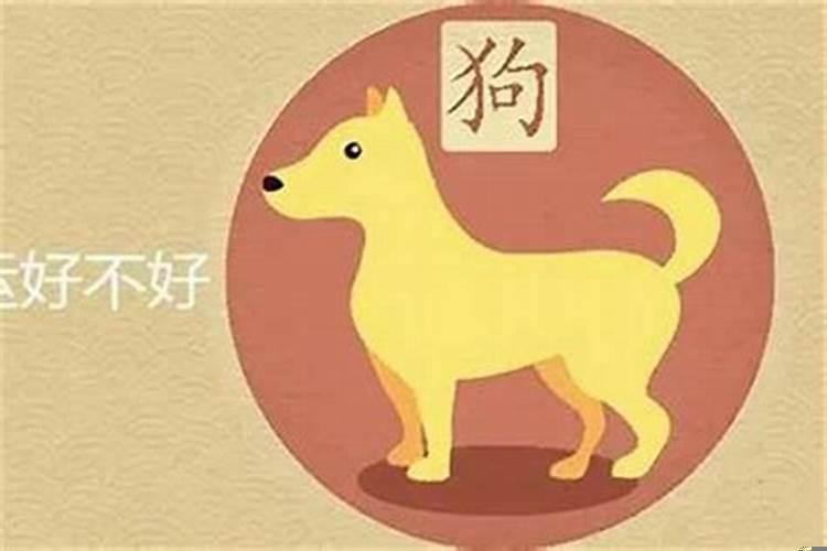 什么叫复合犯太岁不能结婚