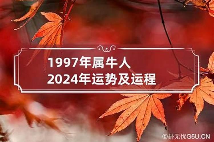 属牛的1997出生年运势