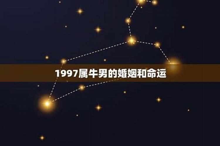 属鼠运势2023年运势