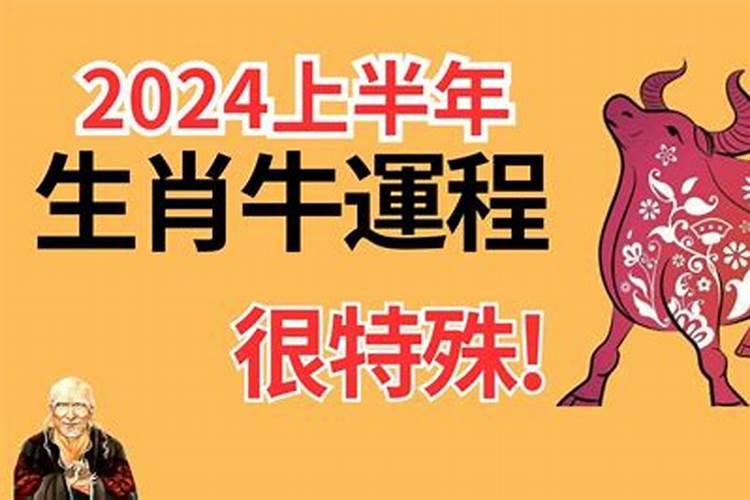 1985属牛女婚姻与命运