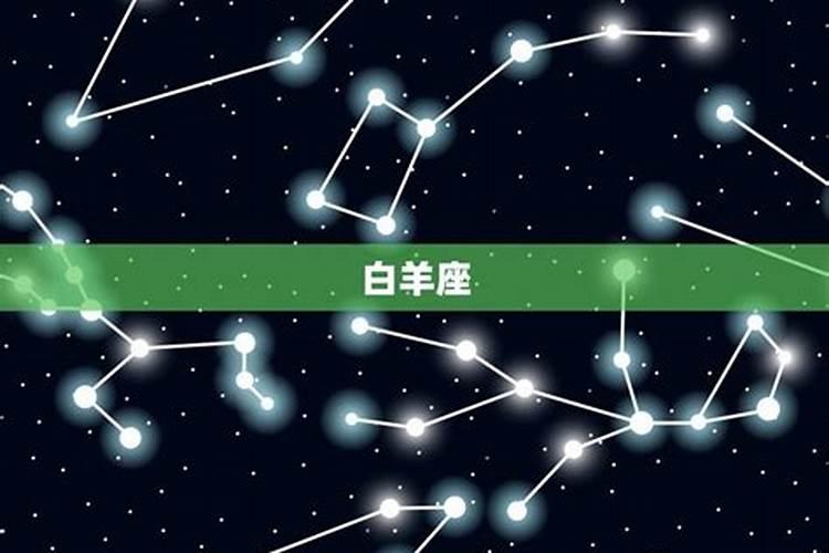 十二星座爱情运势