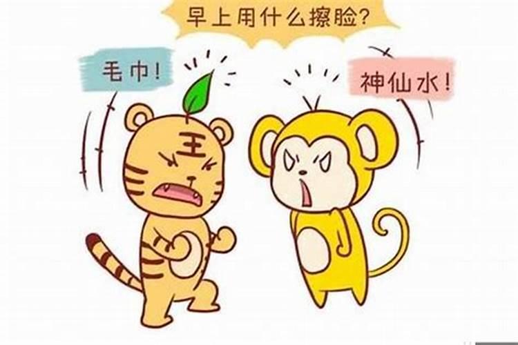 属虎跟属猪的相配吗