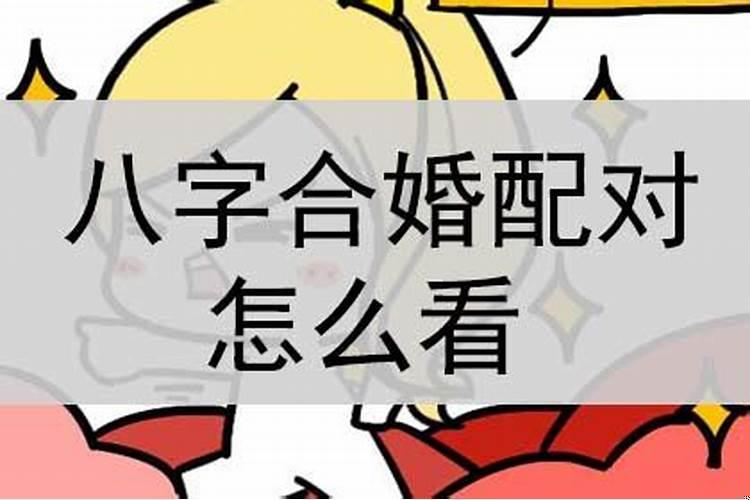 神巴巴八字合婚准吗