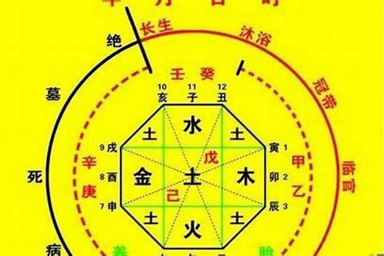 八字喜用神怎么运用？身旺财旺取用神