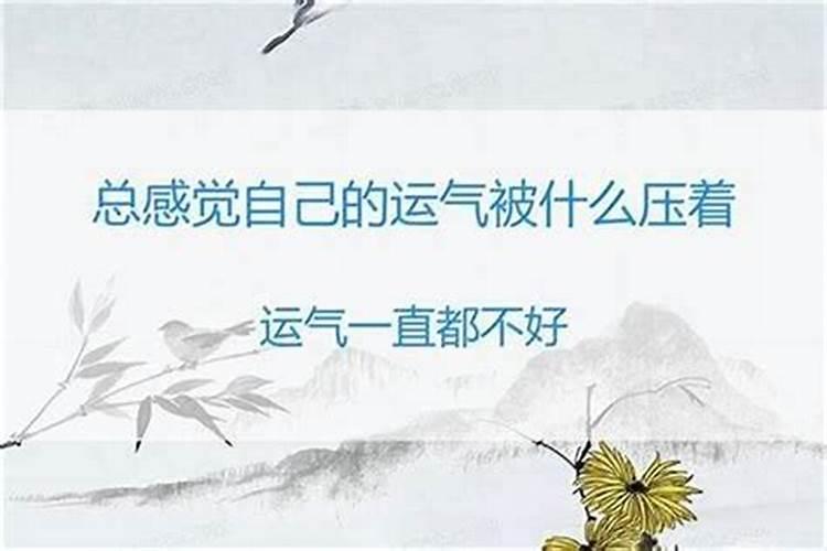 梦到亲人被车撞了是什么预兆呢