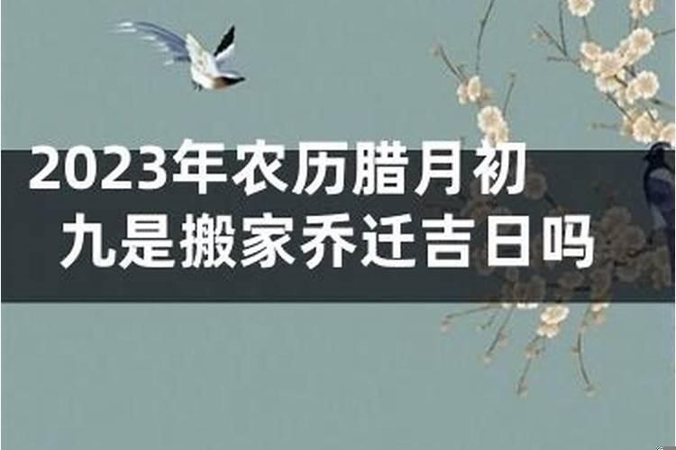 播放农历腊月初九