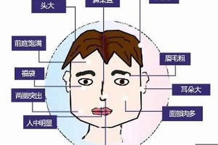 旺妻相的男人特征（女命八字看丈夫财运）