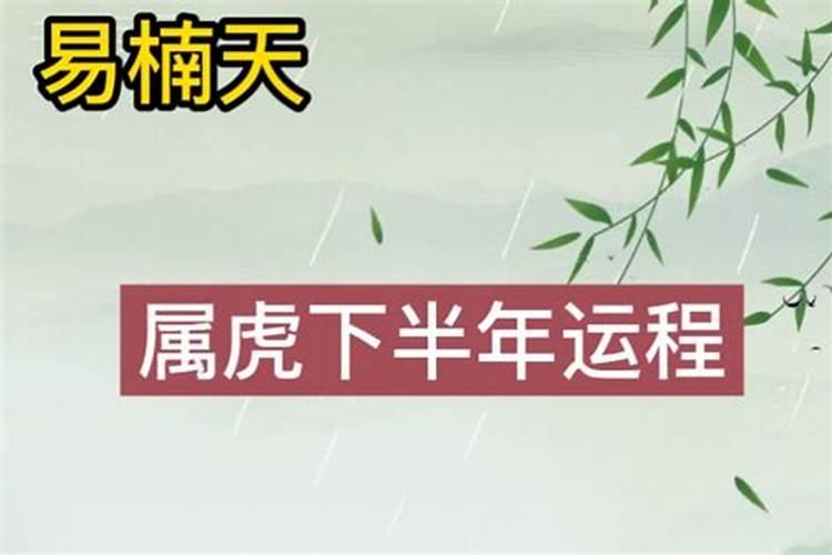 属虎人下半年的运程如何破解