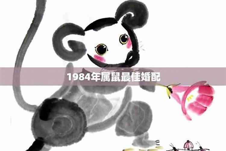 84年出生鼠属相婚配好吗