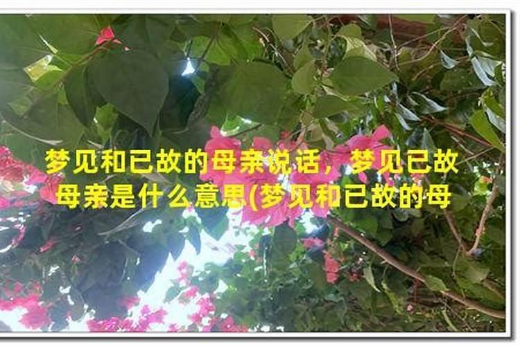 梦见去世的母亲和自己在老宅灭火