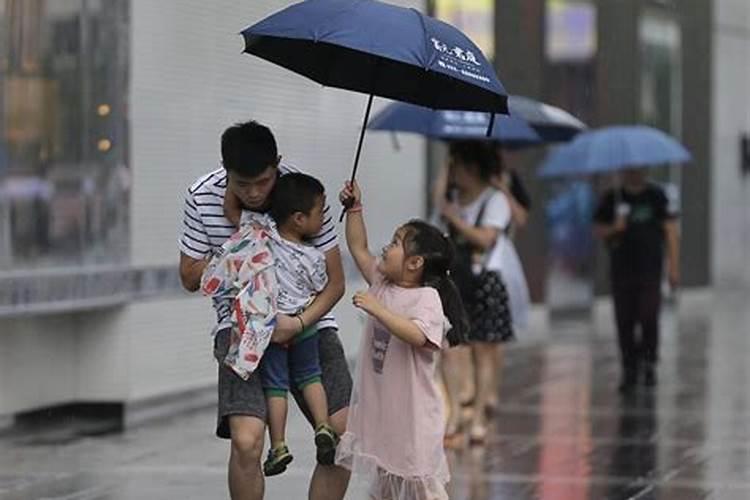 梦到捡苹果和梨