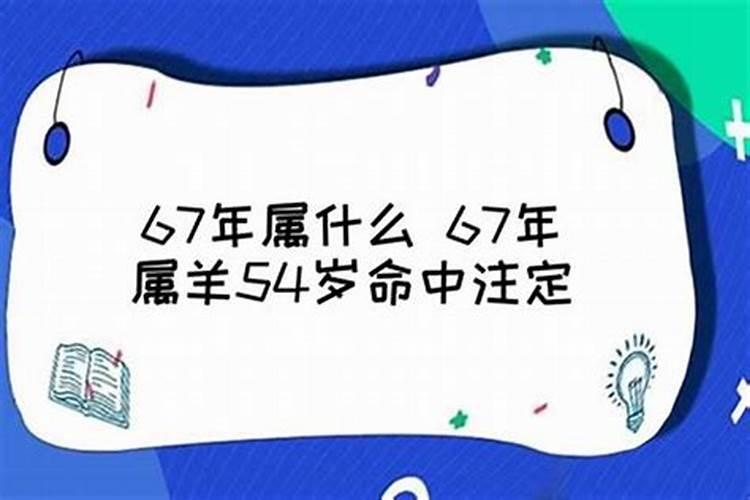 67年12月生今年运势如何