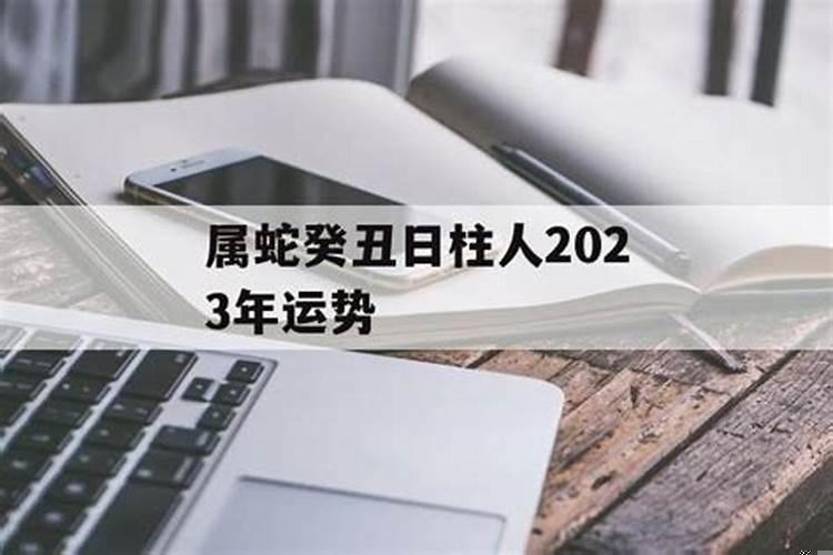 癸未日柱看2023年运势（辛巳日柱财运）