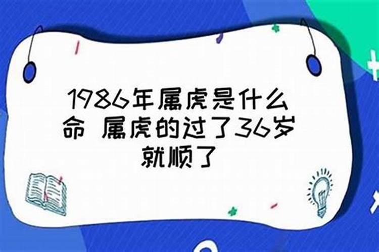 属虎男人36岁本命年讲究