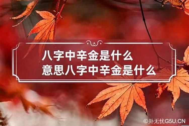 八字命理十天干气数之辛金