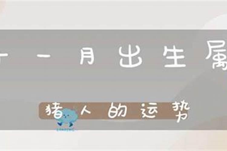 广字五行属什么及解释