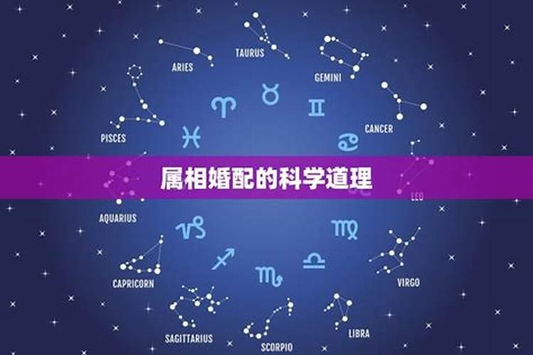 属相合不合有科学依据吗？属相不合的人真的不能在一起吗