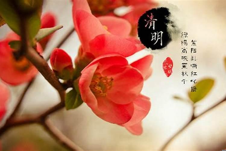 清明节是每年农历几月几日