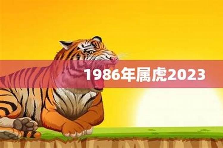 1986年冬月生人今年运势