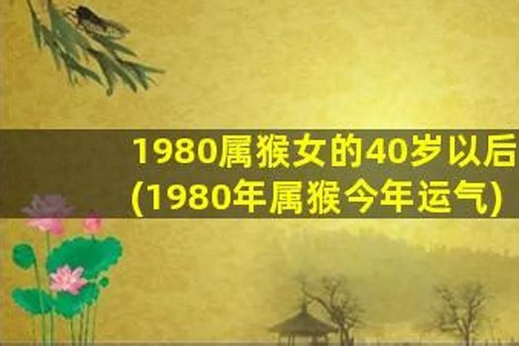 1980年属猴的女人今年运势