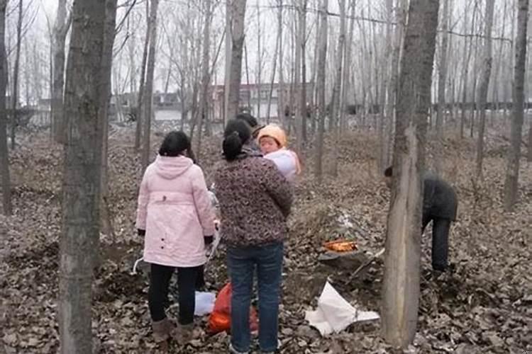 清明祭祖的正确程序