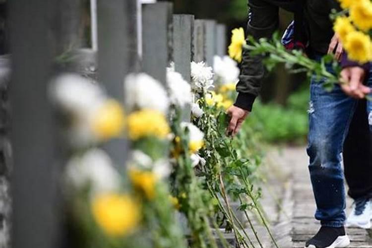 清明节祭扫真实案例