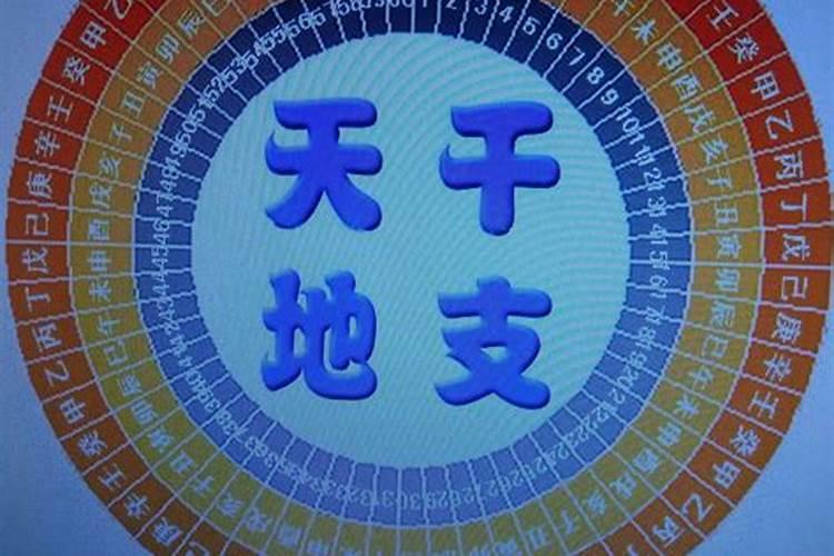 十二天干地支相冲相刑（八字纯阳有什么说法）