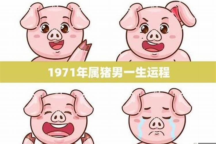 1971属猪人一生运程