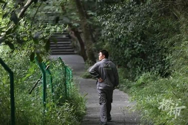 梦见带着孩子去墓地