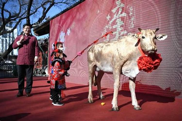 家乡立春风俗