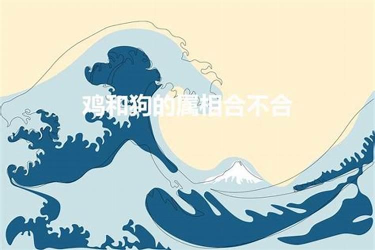 怎么测属相合不合？属相合不合有没有科学道理