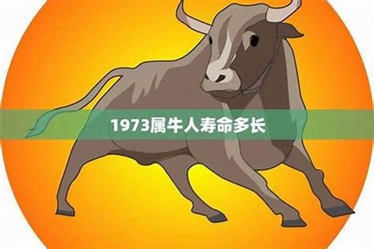 1973属牛的人一生运程