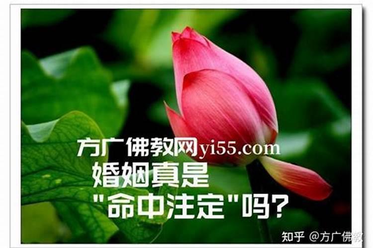 佛说离婚是注定的吗？前世姻缘天注定