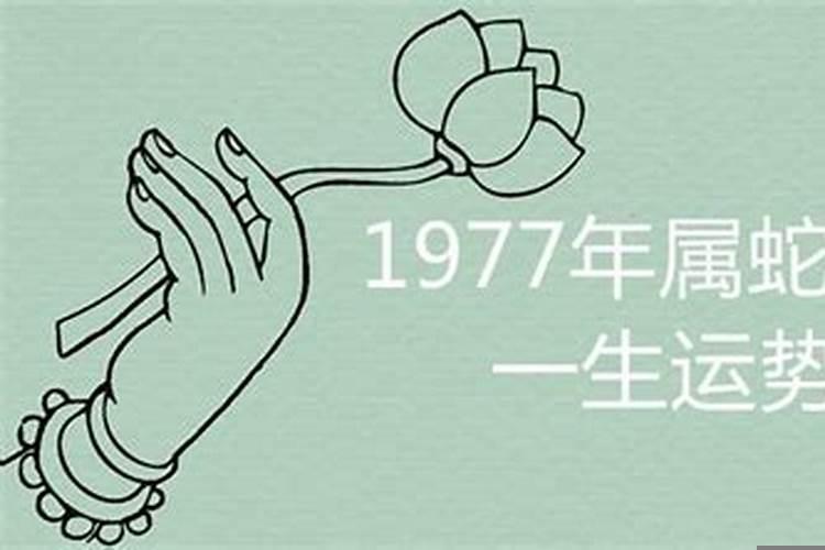 1977属蛇女人一生运程如何