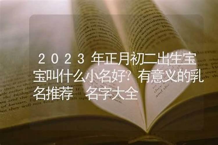 2023正月初二巳时出生