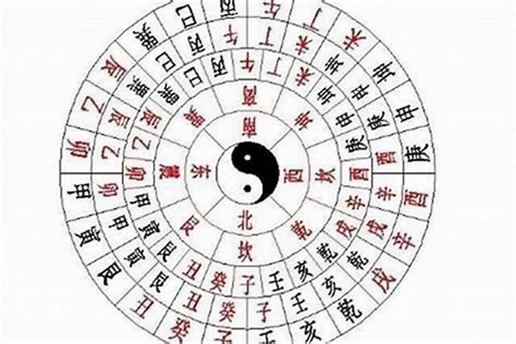 日主天干是什么意思为水？什么叫日主天干，怎么确定日主