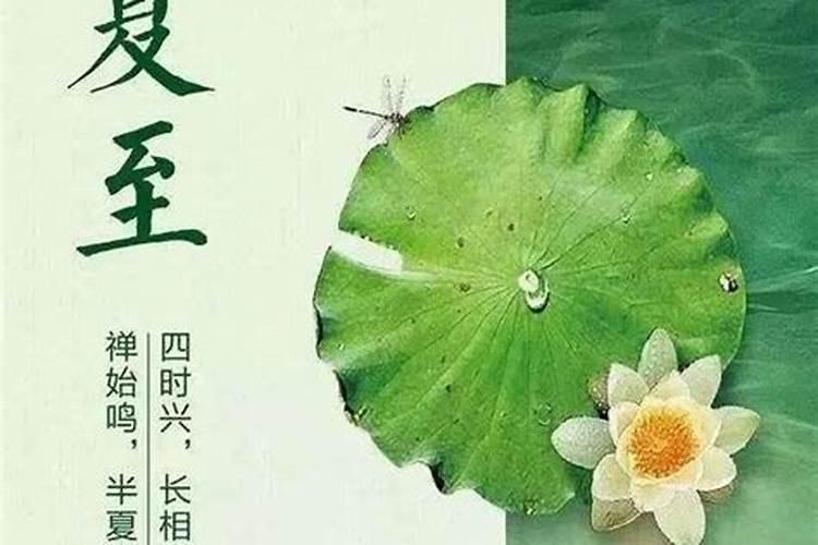 夏至注意什么