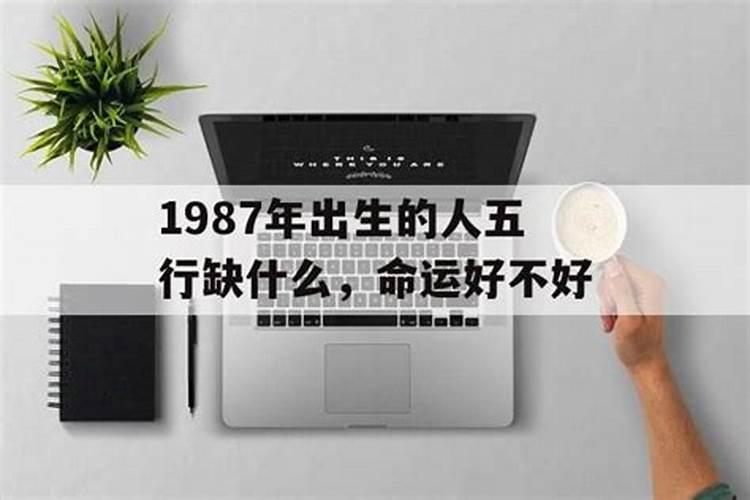 1987年十月初一命运