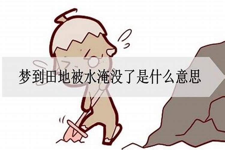 梦见别人被水淹是什么预兆解梦