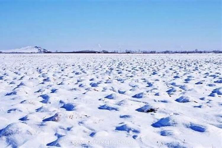 梦见满地都是白雪好不