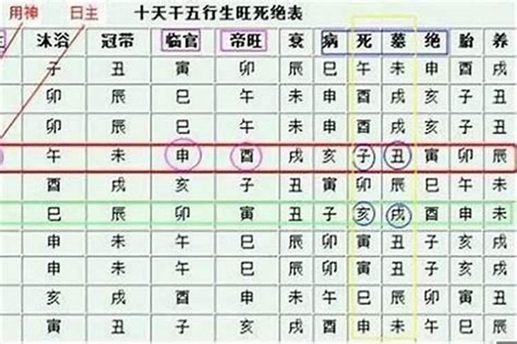 八字身旺食伤旺的人，八字喜食伤适合做什么